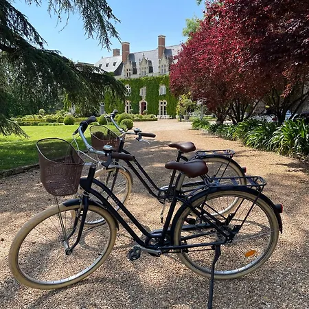 Ξενοδοχείο Chateau De L'epinay Saint-Georges sur Loire