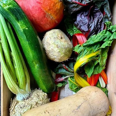 Chateau De L'epinay 4* Saint-Georges sur Loire