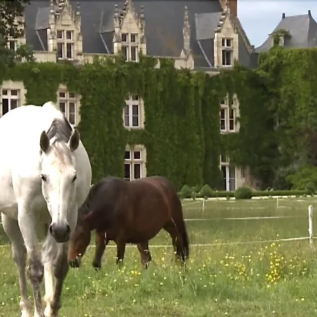 Chateau De L'epinay Отель Saint-Georges sur Loire