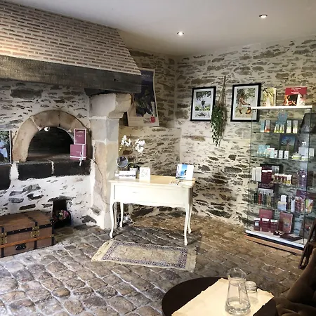 Chateau De L'epinay 4* Saint-Georges sur Loire