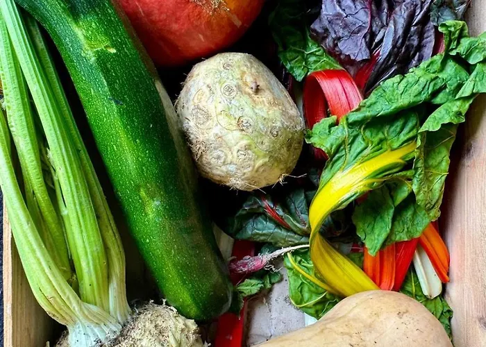 Château De L'epinay 4* Saint-Georges sur Loire