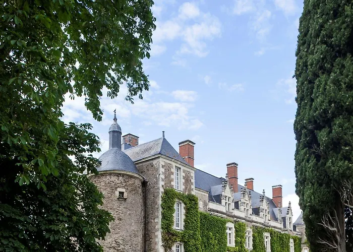 Chateau De L'epinay 4* Saint-Georges sur Loire