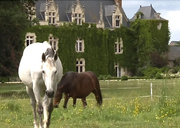 Château De L'epinay Hotel Saint-Georges sur Loire