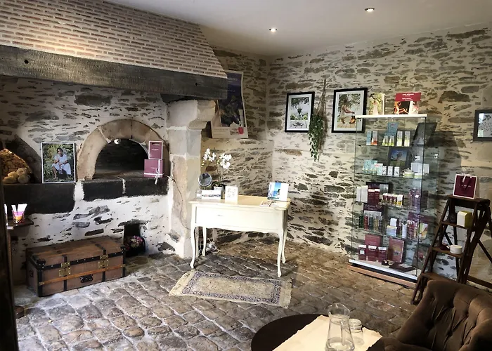 Château De L'epinay 4* Saint-Georges sur Loire