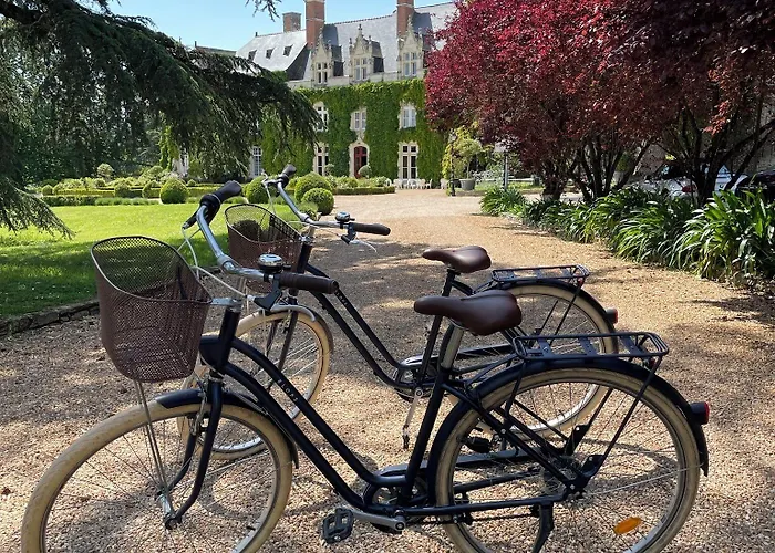Château De L'epinay Hotel 4*